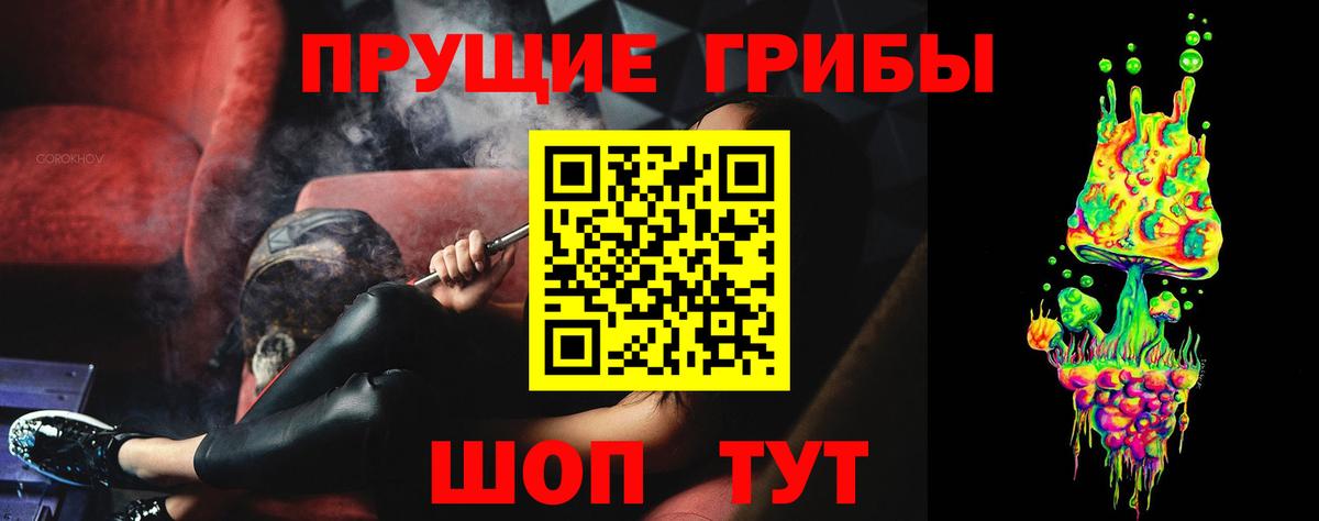 Дубна  Псилоцибиновые грибы Cubensis  Вход с VPN 