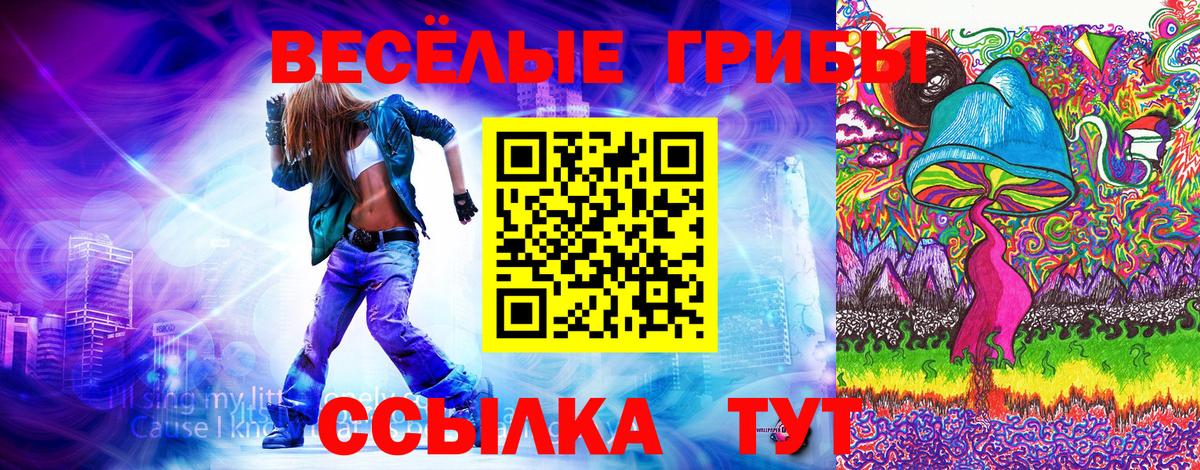 Псилоцибиновые грибы прущие грибы Дубна